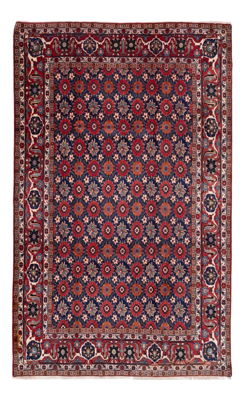 Waramin 338 × 212 cm