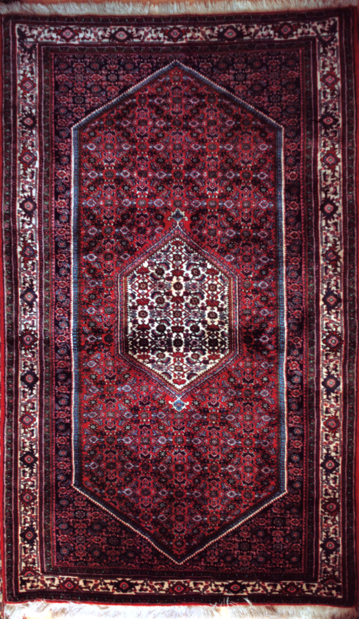 Herati-Muster (Mahi) in einem Bidjar-Teppich