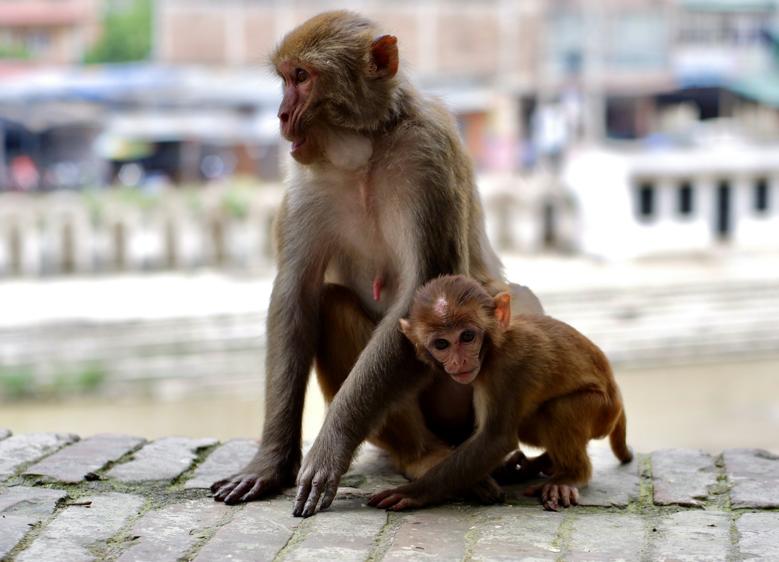 Kathmandu, Nepal