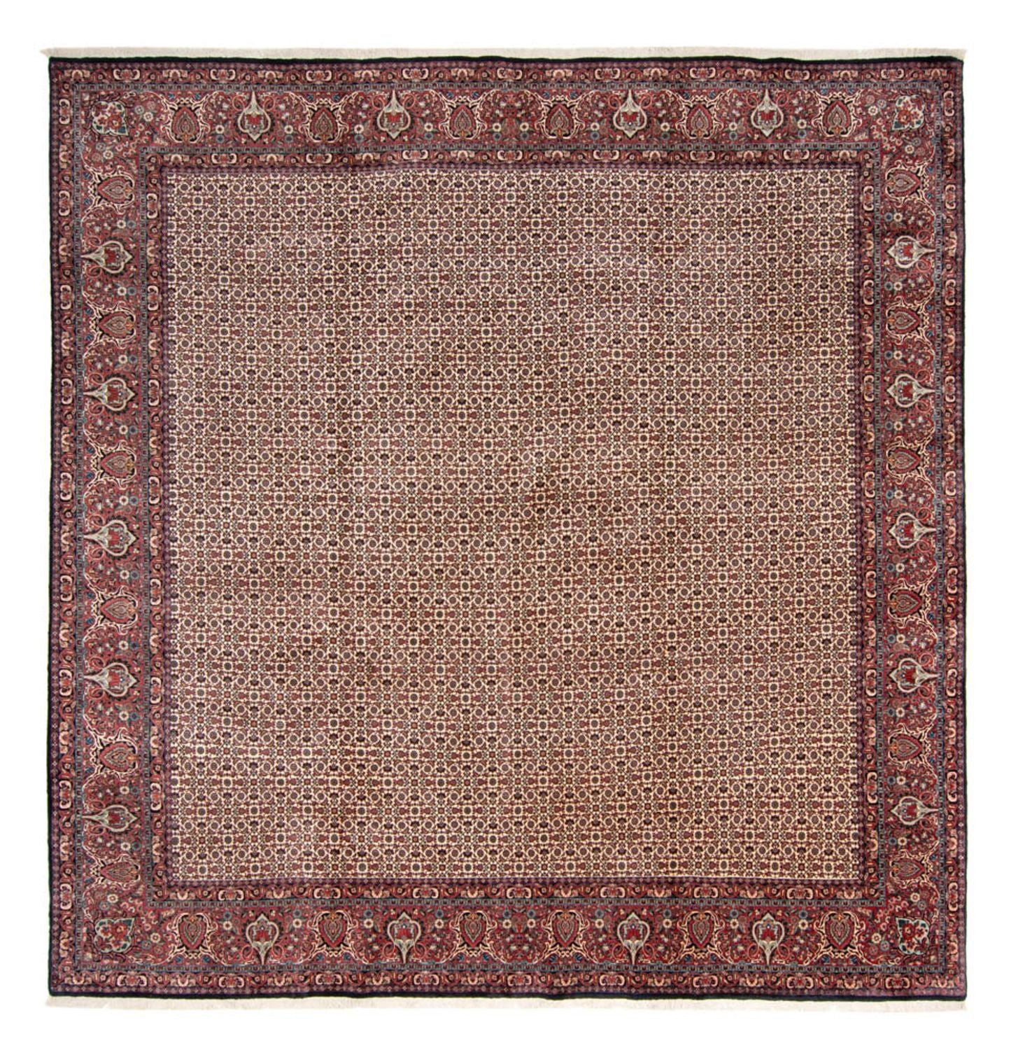 Bidjar - Takab 366 × 348 cm