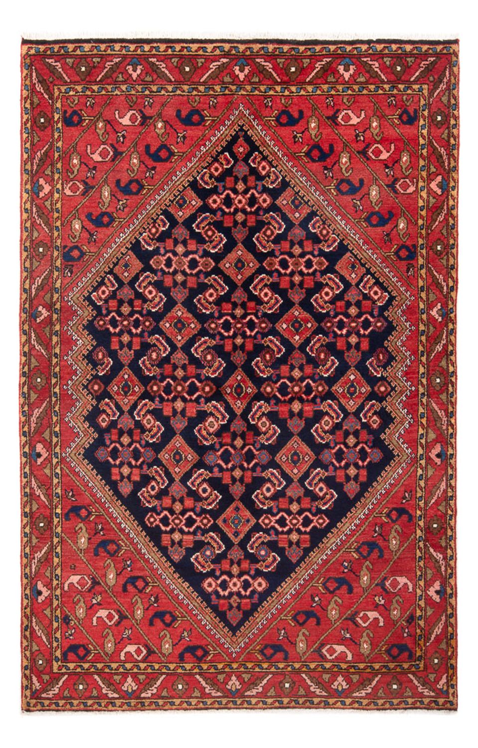 Borchalou 218 × 140 cm