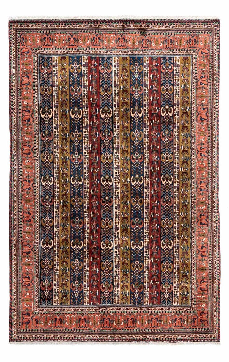 Kaschkuli 295 × 197 cm