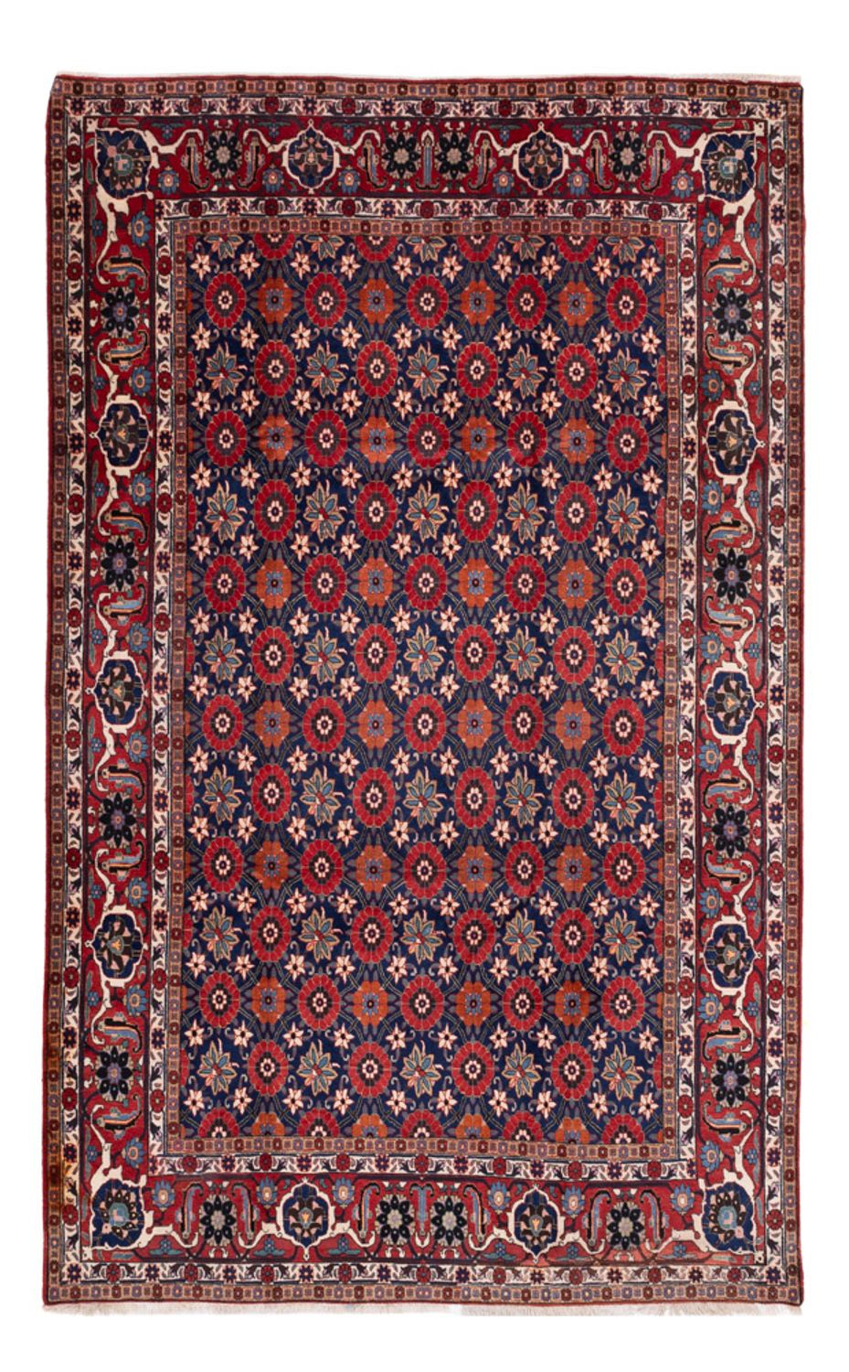 Waramin 338 × 212 cm